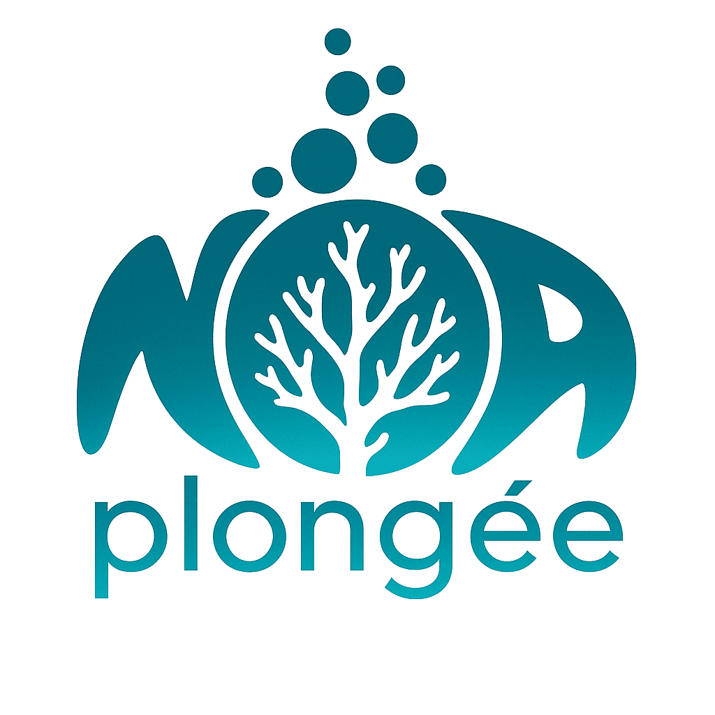 Logo Noa Plongée