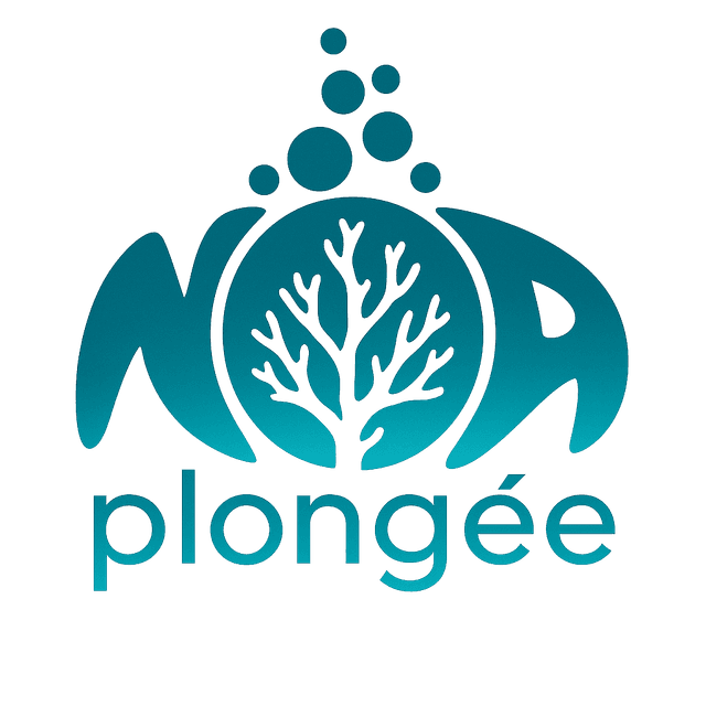 Logo Noa Plongée